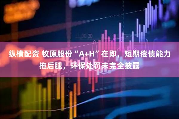 纵横配资 牧原股份“A+H”在即，短期偿债能力拖后腿，环保处罚未完全披露