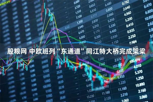 股粮网 中欧班列“东通道”同江特大桥完成架梁