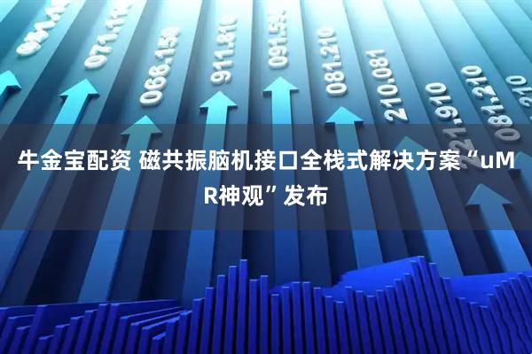 牛金宝配资 磁共振脑机接口全栈式解决方案“uMR神观”发布